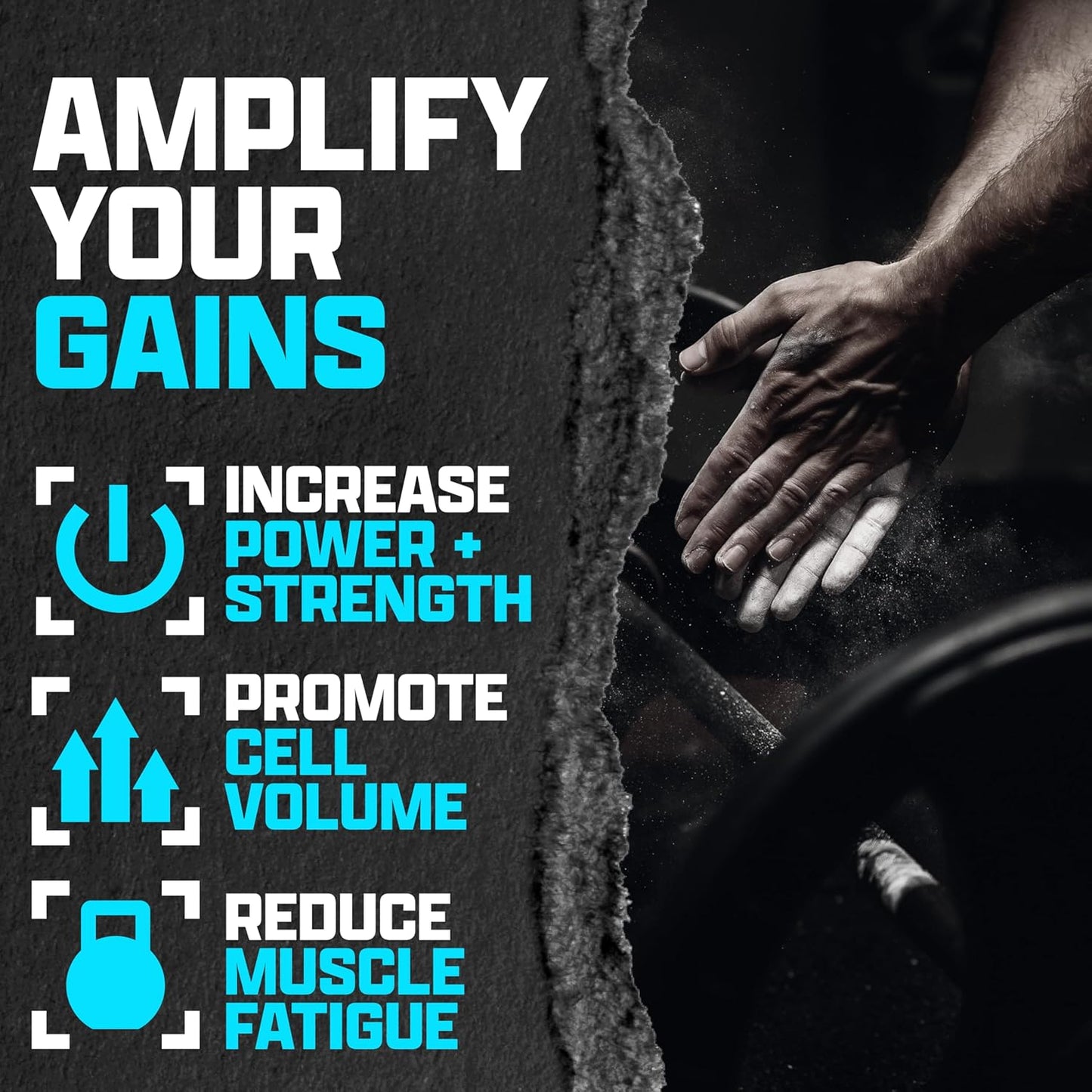 Pure & Micronized Creatine Monohydrate