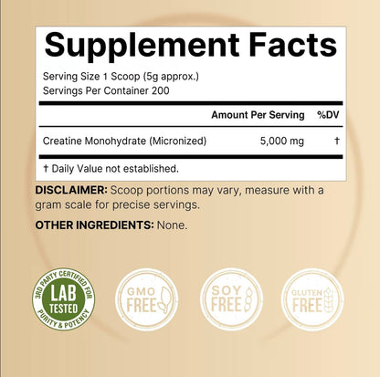 Pure Micronized Creatine Monohydrate Powder